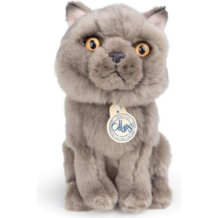 BT-Chaps-Freddy-the-British-Shorthair-Cat-Plush-in-Giftbox-6-5-Plush-24489332047959